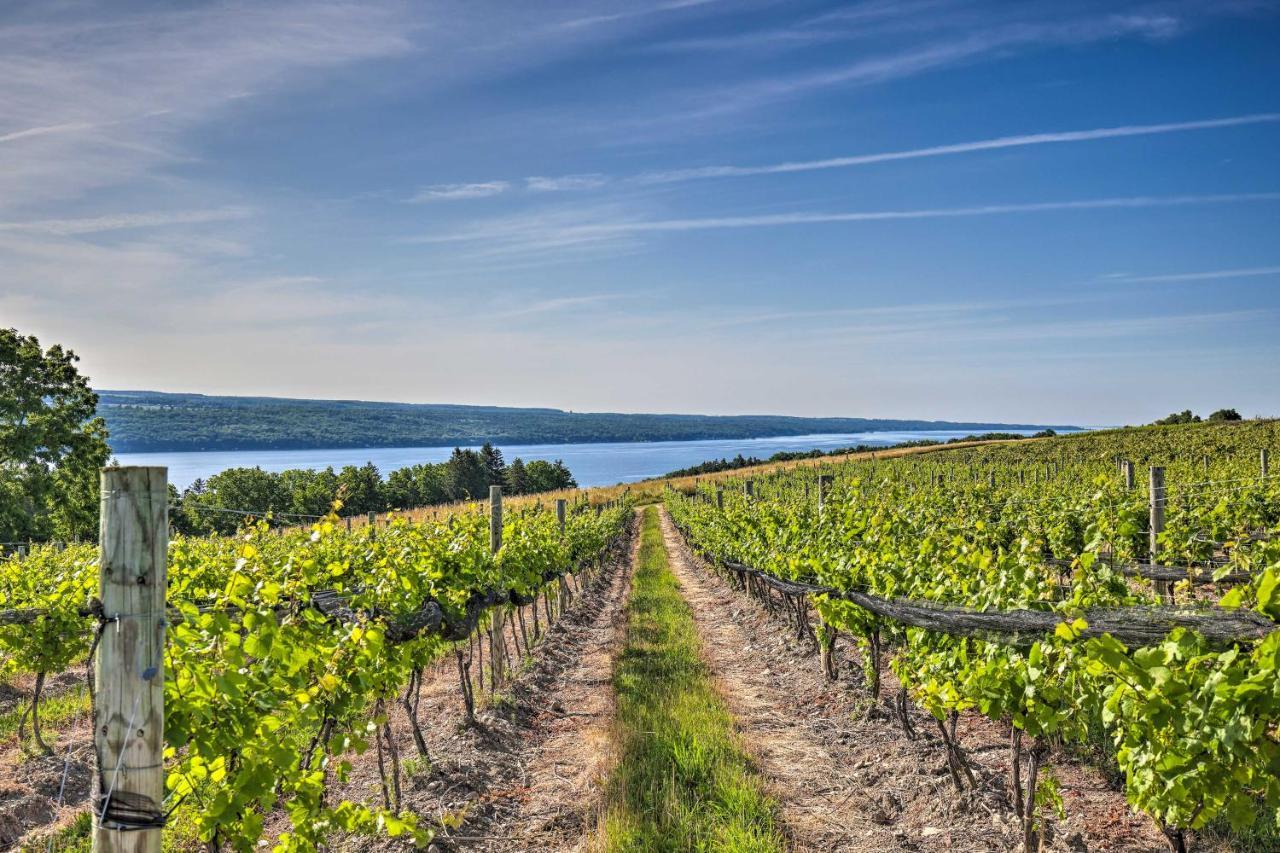 Finger Lakes Farm Retreat Walk To Wineries! Hector Exterior foto