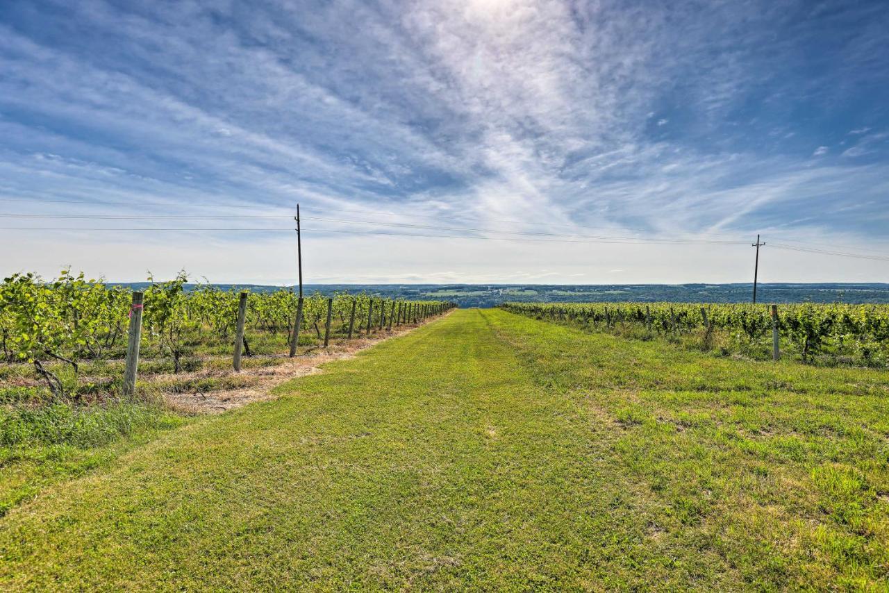 Finger Lakes Farm Retreat Walk To Wineries! Hector Exterior foto